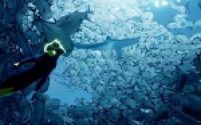 ABZU