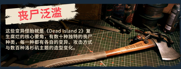 1761312737-1d150999f62fe26