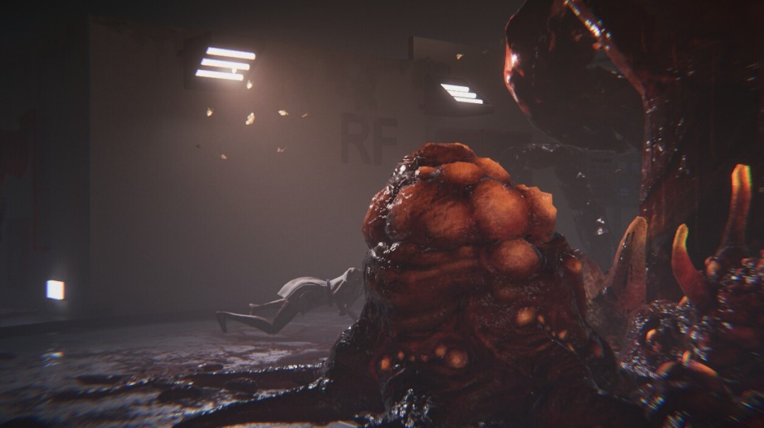 1763539199-eae939cdf8b7deb 1763539199-eae939cdf8b7deb