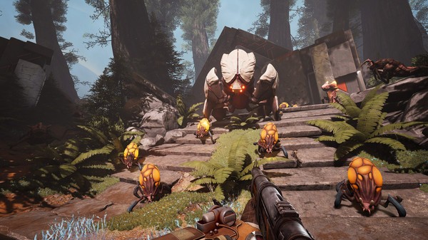 1763539691-c9b5f0372fc25a6