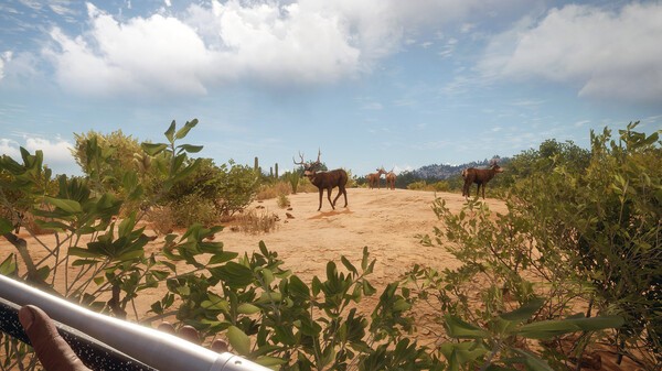 1765460592-23c5dcc508175ca 1765460592-23c5dcc508175ca