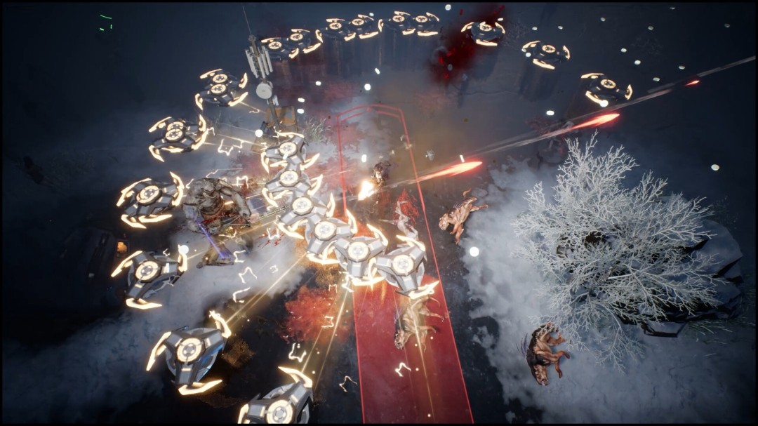 1769441341-cc51074b2a6b496 1769441341-cc51074b2a6b496