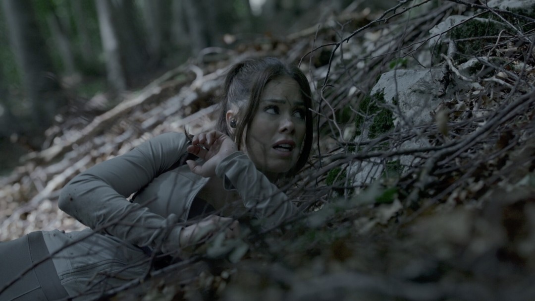 1770396693-7c41468e3a70f8b 1770396693-7c41468e3a70f8b