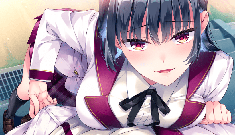 1771729886-6e69f413593a2ea 1771729886-6e69f413593a2ea