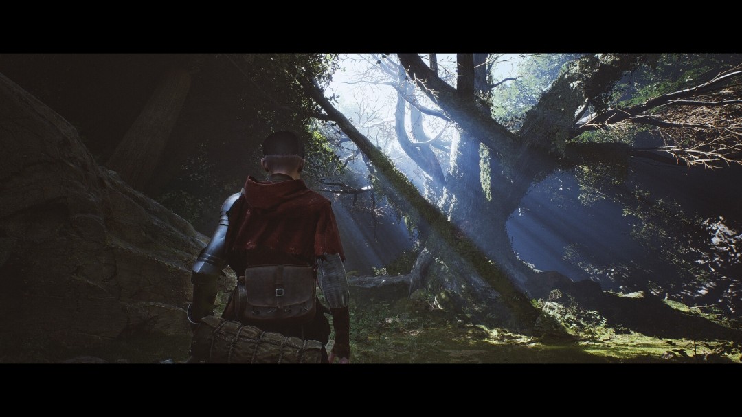 1773996184-75efef996468825 1773996184-75efef996468825